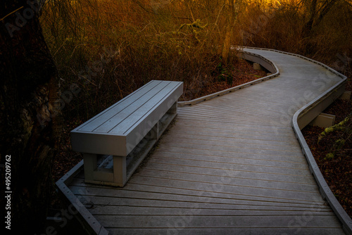 Obraz na plátně Curved wooden boardwalk and rectangular bench over the swamp marsh in the forest on Cape Cod, Massachusetts