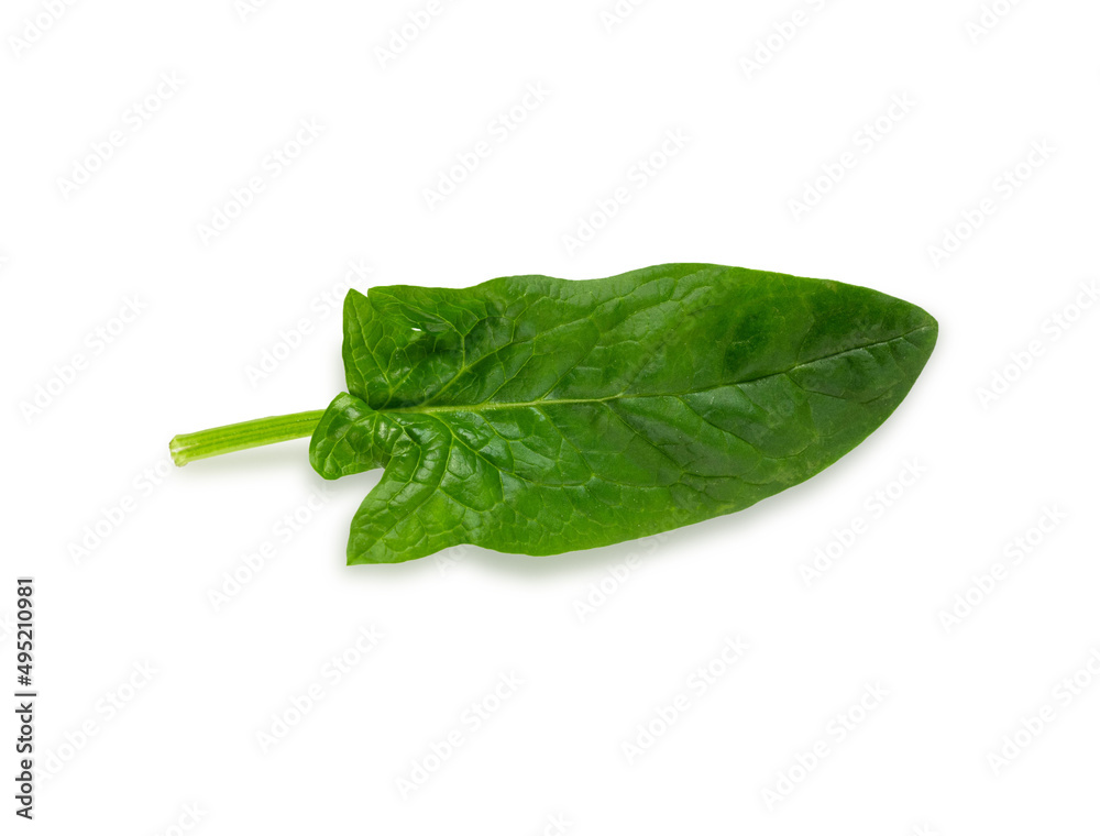 Spinach leaf isolated on white background. Fresh green spinach Top view. Flat lay. Spinach leaf isolated on white background. Fresh green spinach Top view. Flat lay.