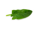 Spinach leaf isolated on white background. Fresh green spinach Top view. Flat lay.