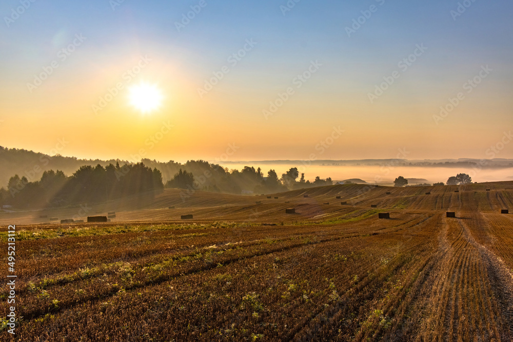 Rural landscape. Colorful sunrise in foggy countryside over agricultural field with harvested wheat