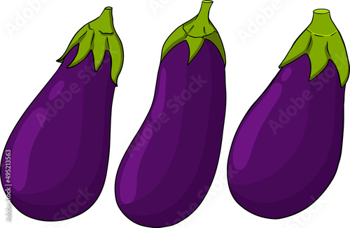 Hand drawn eggplants. Vector colored illustration isolated on white background. Farm, fresh, ecological vegetables artwork.