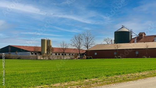 View on a cattle or pig farm with a silo storage and feeding system.