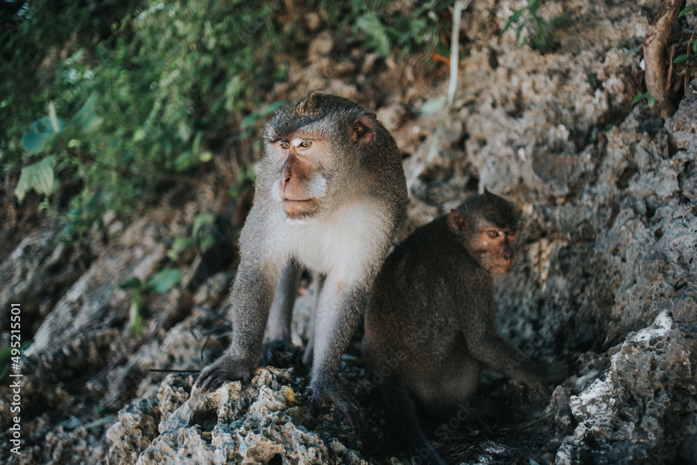 Bali, Indonezja