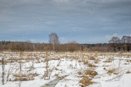 Fototapeta Naklejka Na Ścianę i Meble -  European landscape in March: on fields snow starts to thaw