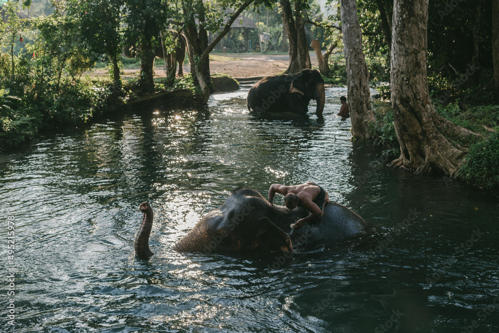 Thailand life