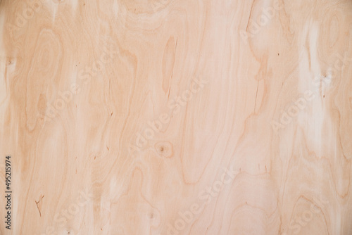 Close-up texture of natural birch veneer.