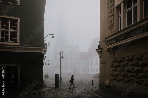 Obraz na płótnie Mgła w salonie