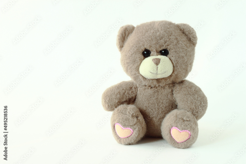 Cute teddy bear toy on a white background. Side view of a bear plush toy on a white isolated background.