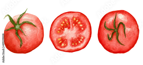 Watercolor collection, red tomato in different position and slice of tomato, elements isolated on white background.