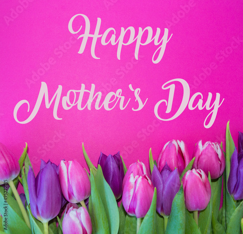 tulips on pink ground with happy mother`s day text