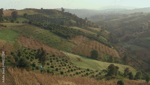 Aerial view of orchard garden, mountain landscape, agriculture Mexico