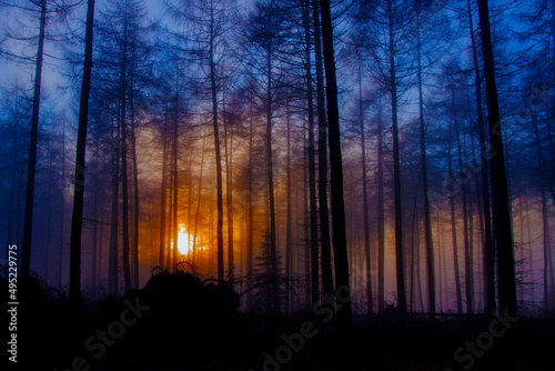 North York Moors National Park