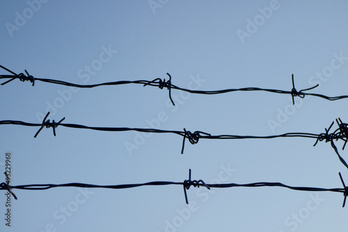 barbed wire against the blue sky. Chain with spike for safety and security boundary concept for human rights slave, prison hostage hope to freedom. International liberty day. russia ukraine