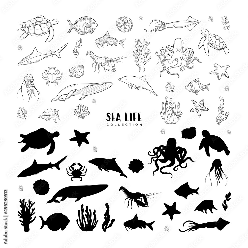 Big vector set of sea animals and plants with sea shells and starfishes. Black outlines and black silhouette isolated on white background. Marine life collection. Big vector set of sea animals and plants with sea shells and starfishes. Black outlines and black silhouette isolated on white background. Marine life collection.