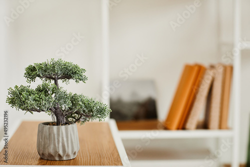 Minimal background of small bonsai tree in clean home interior, wabi sabi concept, copy space photo