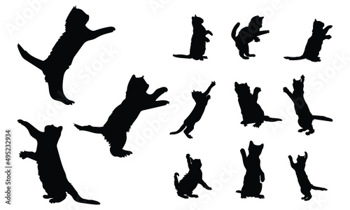Cat vector silhouette. Side view isolated on a white background. photo