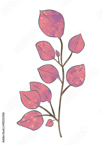 Branch leaves eco pink in watercolor style on white background. Leaves on a branch to decorate the design. High quality illustration