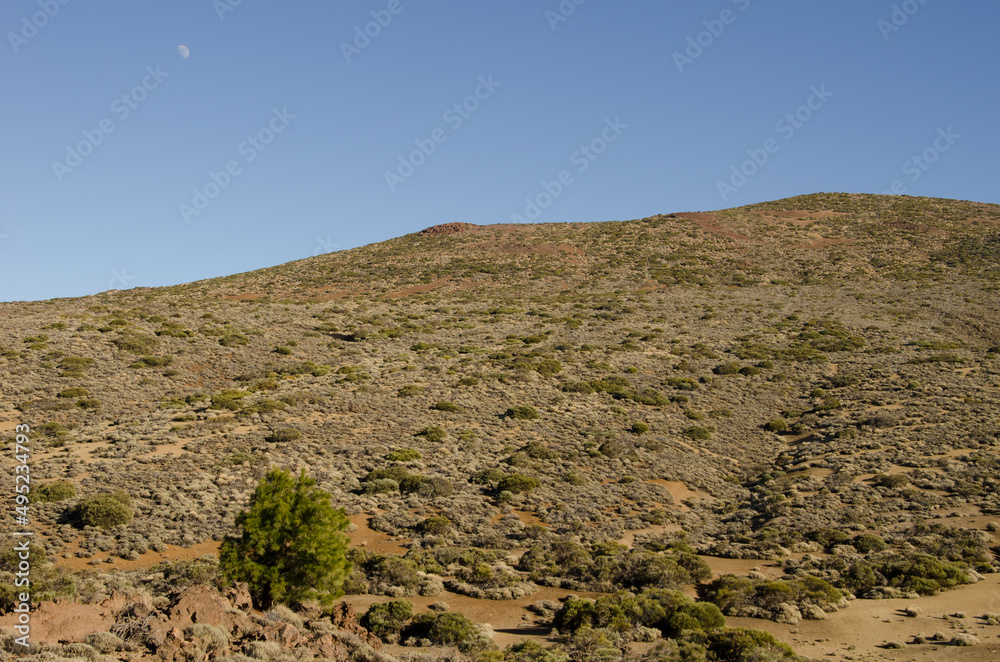 Hill and moon in the Teide National Park. Tenerife. Canary Islands. Spain.