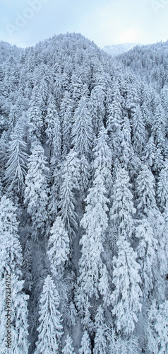 Aerial view of a winter landscape with snow covered pine trees on a mountain peak