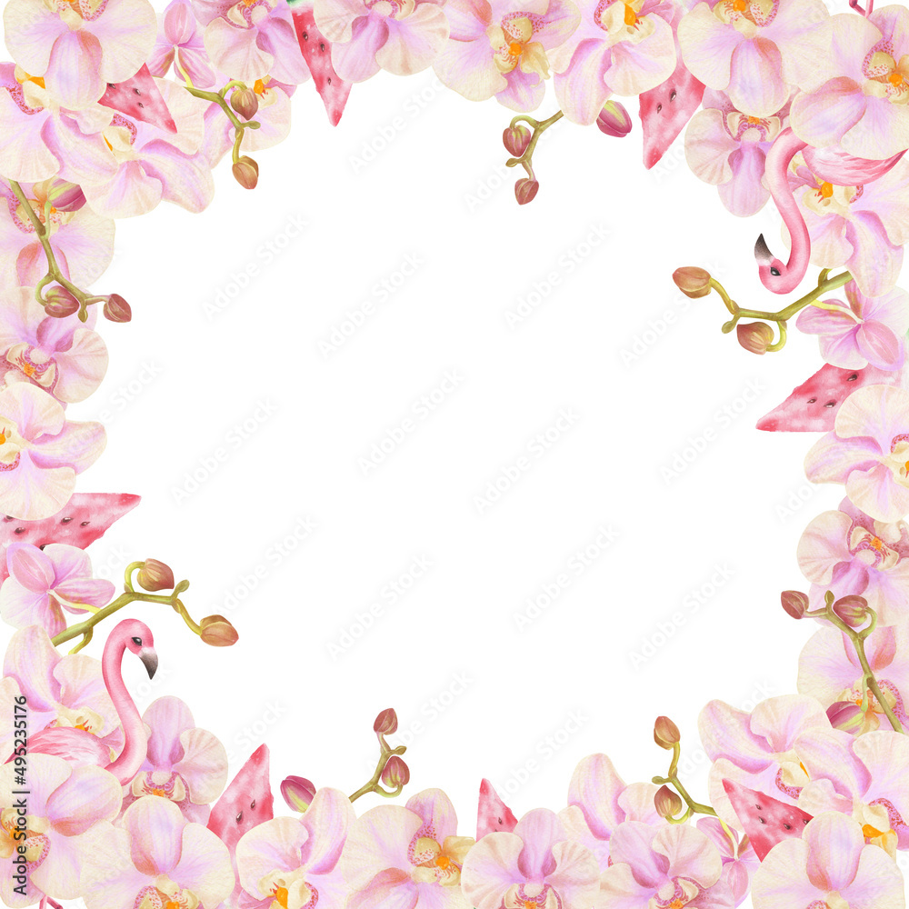 Round frame with watercolor orchids and flamingos and watermelon isolated on transparent background.