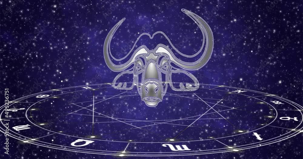 The signs of the zodiac horoscope wheel on dark star sky background animated loop 4k footage