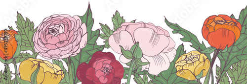 Blooming Ranunculus Flowers Vintage Border Frame