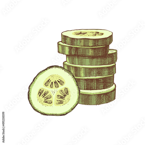 Hand drawn sliced cucumber illustration