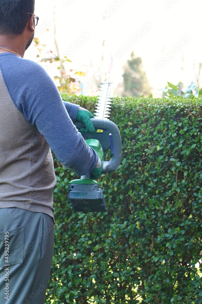 An unrecognisable male gardener wearing safety gloves and cutting top