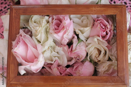 pink roses on wooden background
