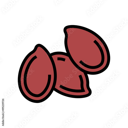 flax seed color icon vector. flax seed sign. isolated symbol illustration