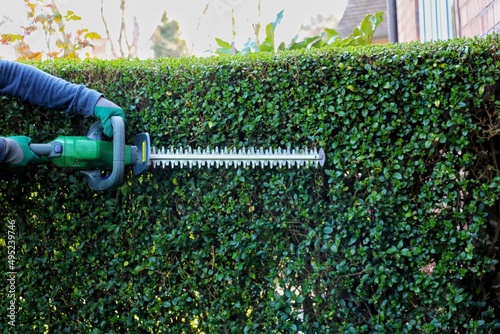 A gardener wearing safety gloves leveling a shrub fence with a cordless hedge trimmer.