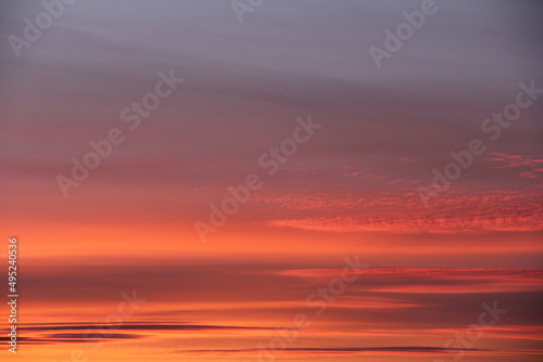 Clouds at sunset. Gradient parishes in the sky. Close up. © DIMA