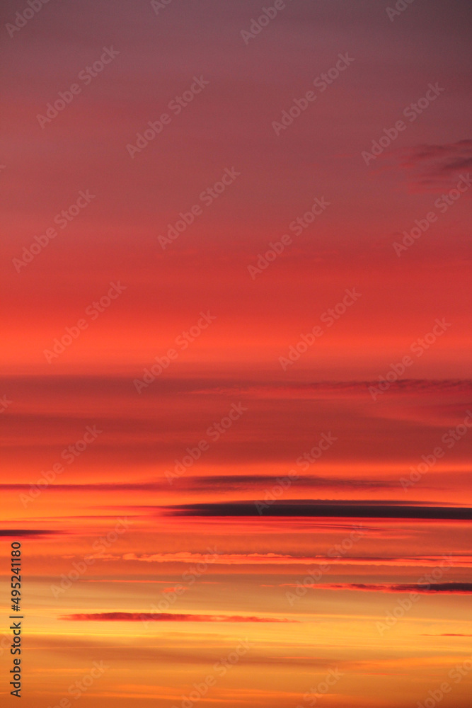Multicolored soft clouds at sunset. Close up. Vertical.