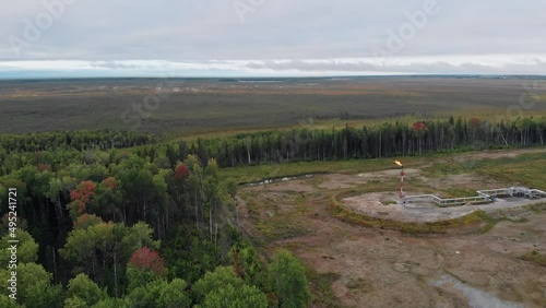 Wallpaper Mural The drone flies over the forest, in the swampy area where gas is extracted, a tall pipe above the ground burns with a yellow flame. A gas torch burns excess gas in the atmosphere, damaging the planet. Torontodigital.ca