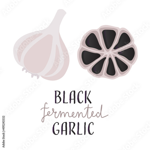 Black garlic fermented. Aged fermented garlic with lettering. Healthy flavor ingredient. Flat vector illustration