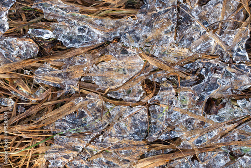 Grass frozen in crystal clear ice © eugenegg