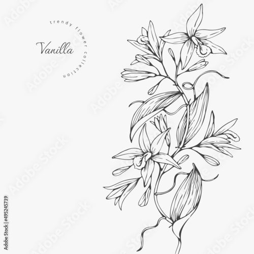 Trendy wedding flowers for logo or decorations. Hand drawn line wedding decoraton, elegant leaves for invitation save the date card. Botanical rustic trendy greenery photo