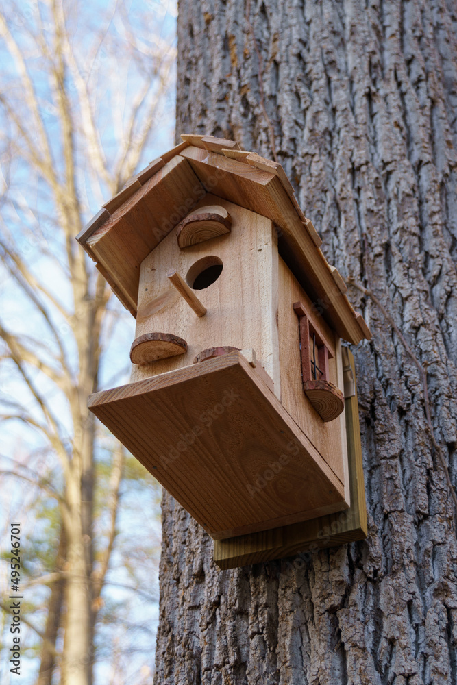 Homemade birdhouse on a tree in early spring