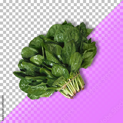 Fresh spinach on a transparent background . PSD
