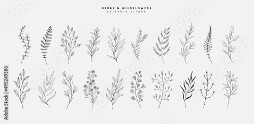 Floral branch and minimalist flowers for logo or tattoo. Hand drawn line wedding herb, elegant leaves for invitation save the date card. Botanical rustic trendy greenery