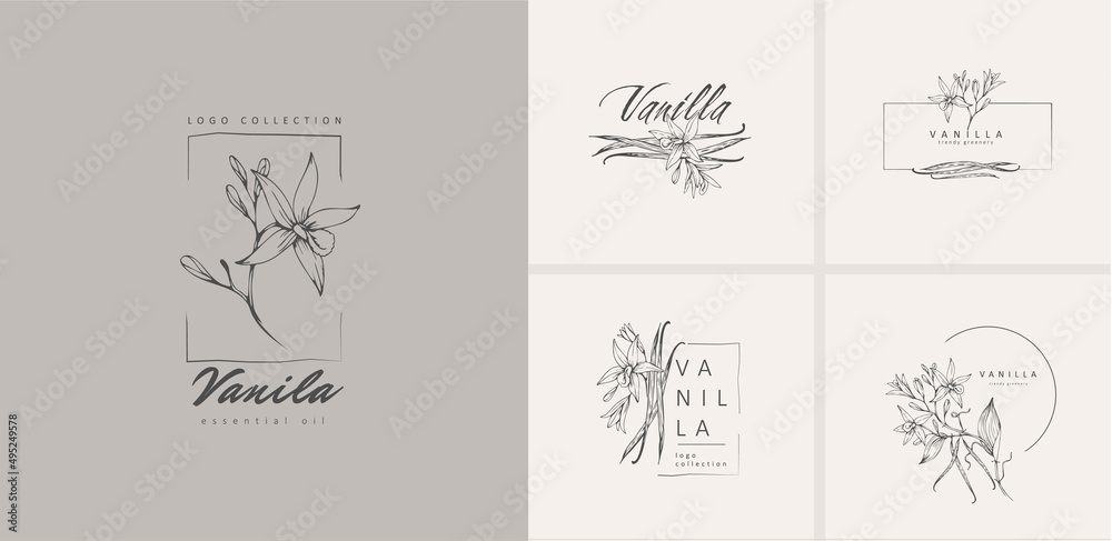 Vanilla pods flowers floral logo collection. Hand drawn line herb, elegant leaves for invitation save the date card. Botanical rustic trendy greenery vector