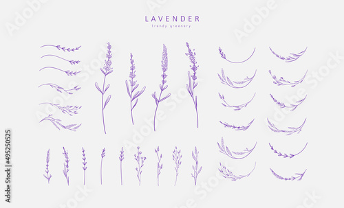 Set of Lavender logo and branch. Hand drawn wedding herb, plant and monogram with elegant leaves for invitation save the date card design. Botanical