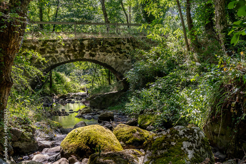 Schilderij op canvas Vieux pont romain recouvert de mousses vertes surplombant une belle rivière sur