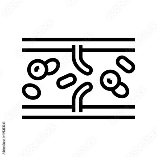 vein vessel line icon vector. vein vessel sign. isolated contour symbol black illustration