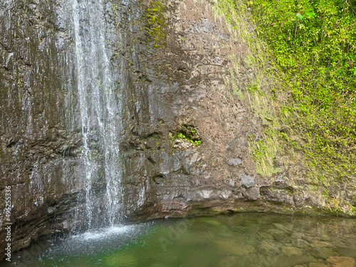 Hawaii Manoa Falls. Waterfall and pond. vacation location hawaii