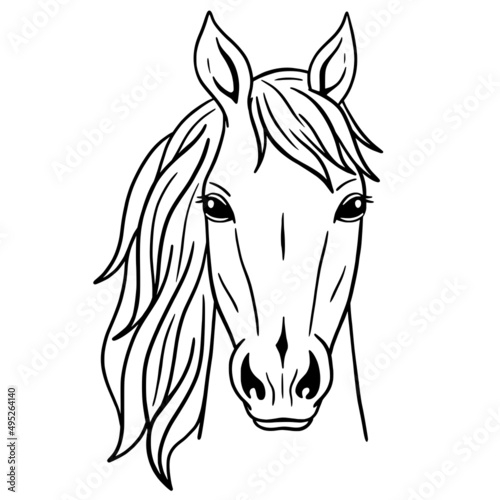 Fototapeta Naklejka Na Ścianę i Meble -  Vector silhouette of a horse's head. Wild Animals. Horse head icon or logo.  Good for posters, t shirts, postcards.