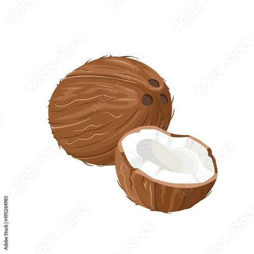 Coconut vector icon. Whole coconut and half isolated on white. Cartoon flat illustration.