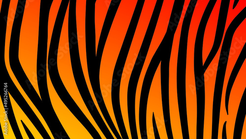 orange stripe tiger texture pattern repeated black safari jungle smooth fine tiger skin pattern