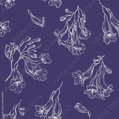 Floral seamless pattern vector outline style branch of jacaranda flowers. Beige elements on violet background. Hand drawn illustration for design packaging, textile, wallpaper, fabric photo