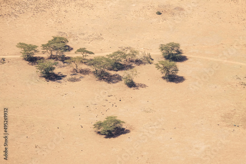 Harbinger of impending climate change: Beautiful aerial view of a herd of goats searching for edible grass in the sere Maasai tribal area in Kenya